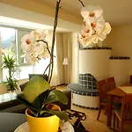 Apartment Tritscher Schladming