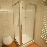 Tritscher Apartman Schladming