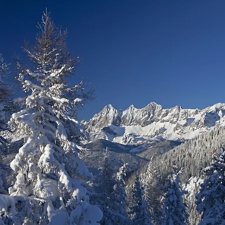 Apartment Tritscher 4*